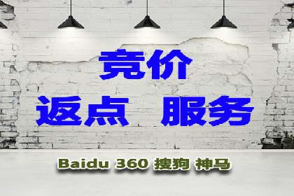成功运用SEM服务实现品牌推广的案例分析